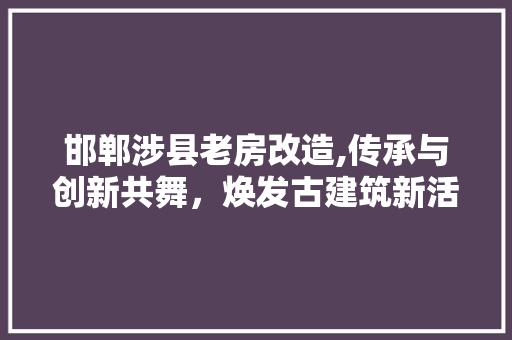邯郸涉县老房改造,传承与创新共舞，焕发古建筑新活力
