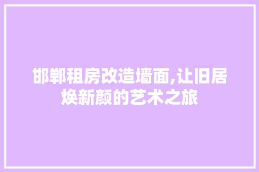 邯郸租房改造墙面,让旧居焕新颜的艺术之旅