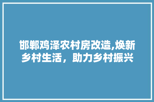邯郸鸡泽农村房改造,焕新乡村生活，助力乡村振兴