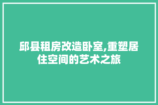 邱县租房改造卧室,重塑居住空间的艺术之旅