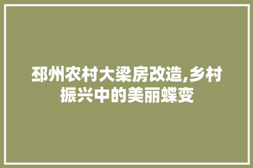 邳州农村大梁房改造,乡村振兴中的美丽蝶变