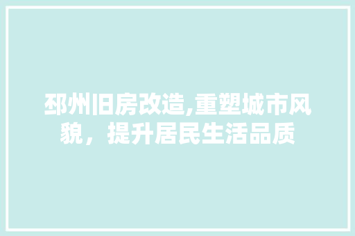 邳州旧房改造,重塑城市风貌，提升居民生活品质 墙体维修
