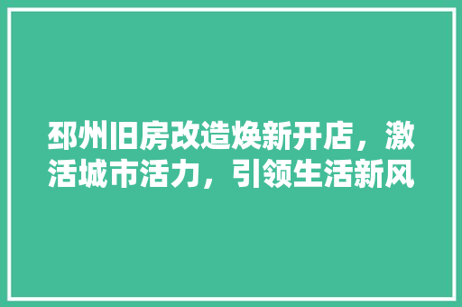 邳州旧房改造焕新开店，激活城市活力，引领生活新风尚 综合便民