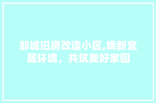 邹城旧房改造小区,焕新宜居环境，共筑美好家园 墙体维修