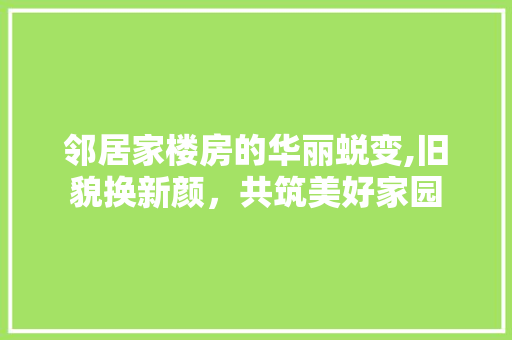 邻居家楼房的华丽蜕变,旧貌换新颜，共筑美好家园
