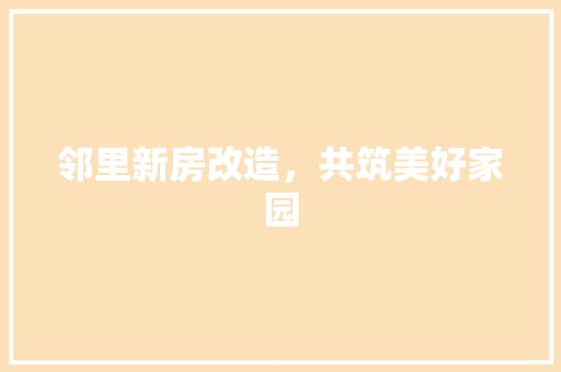 邻里新房改造，共筑美好家园