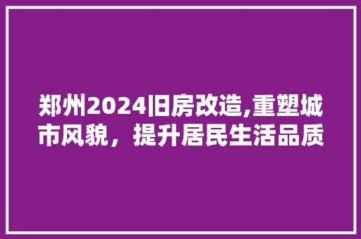郑州2024旧房改造,重塑城市风貌，提升居民生活品质 厨房维修