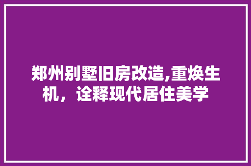 郑州别墅旧房改造,重焕生机，诠释现代居住美学 厨房维修