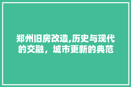 郑州旧房改造,历史与现代的交融，城市更新的典范 综合便民