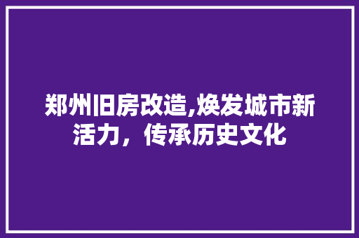 郑州旧房改造,焕发城市新活力，传承历史文化