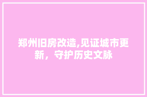 郑州旧房改造,见证城市更新，守护历史文脉