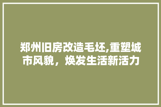 郑州旧房改造毛坯,重塑城市风貌，焕发生活新活力