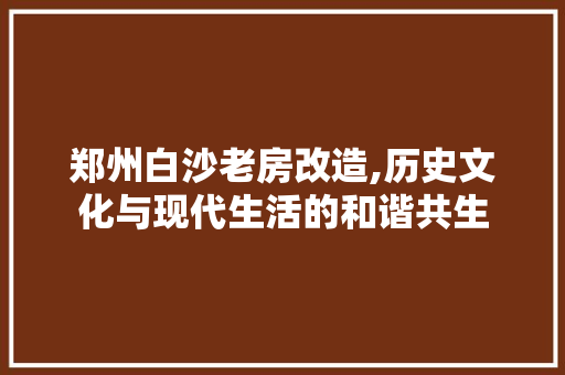 郑州白沙老房改造,历史文化与现代生活的和谐共生 汽车维修