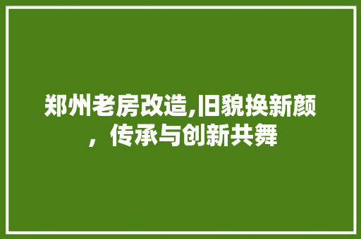郑州老房改造,旧貌换新颜，传承与创新共舞