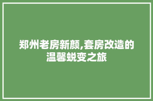 郑州老房新颜,套房改造的温馨蜕变之旅