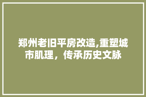 郑州老旧平房改造,重塑城市肌理，传承历史文脉