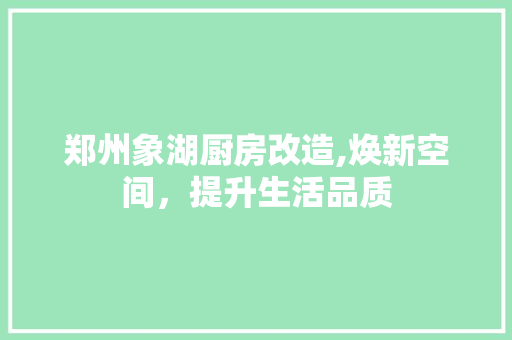 郑州象湖厨房改造,焕新空间，提升生活品质