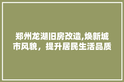 郑州龙湖旧房改造,焕新城市风貌，提升居民生活品质 厨房维修