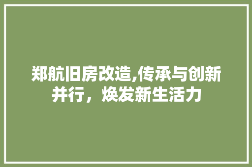 郑航旧房改造,传承与创新并行，焕发新生活力 墙体维修