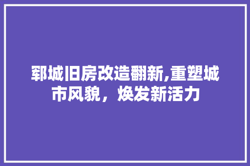 郓城旧房改造翻新,重塑城市风貌，焕发新活力 厨房维修