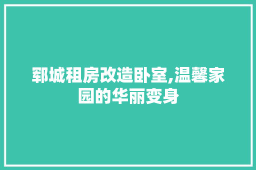 郓城租房改造卧室,温馨家园的华丽变身