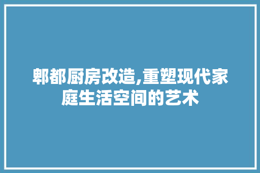 郫都厨房改造,重塑现代家庭生活空间的艺术 厨房维修