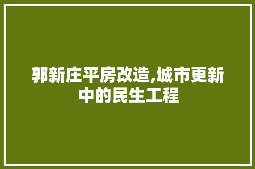 郭新庄平房改造,城市更新中的民生工程 汽车维修