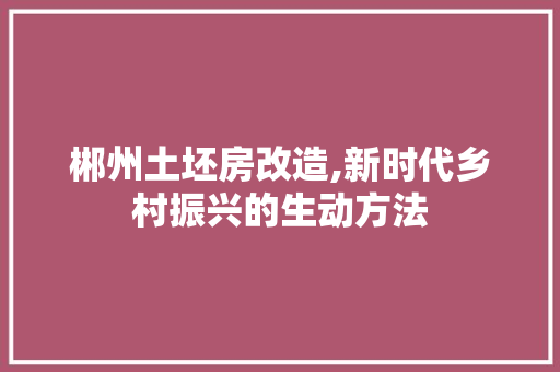 郴州土坯房改造,新时代乡村振兴的生动方法