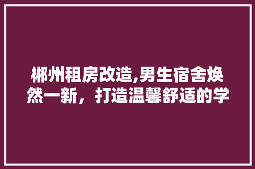 郴州租房改造,男生宿舍焕然一新，打造温馨舒适的学习生活环境