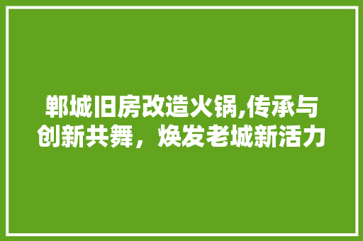 郸城旧房改造火锅,传承与创新共舞，焕发老城新活力