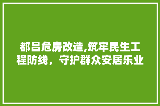 都昌危房改造,筑牢民生工程防线，守护群众安居乐业 综合便民