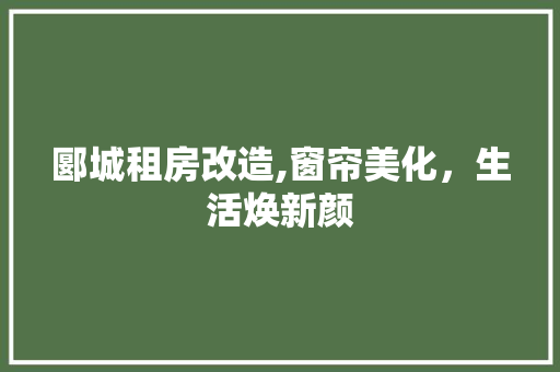 郾城租房改造,窗帘美化，生活焕新颜