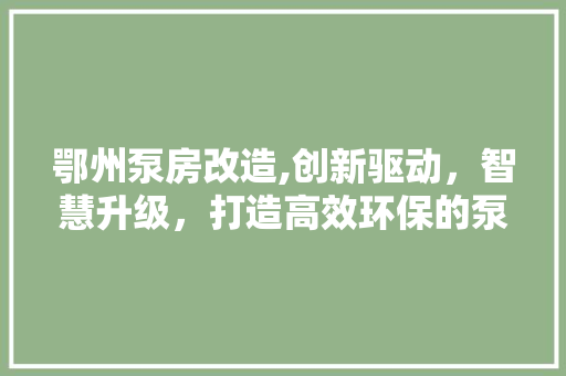 鄂州泵房改造,创新驱动，智慧升级，打造高效环保的泵房新典范