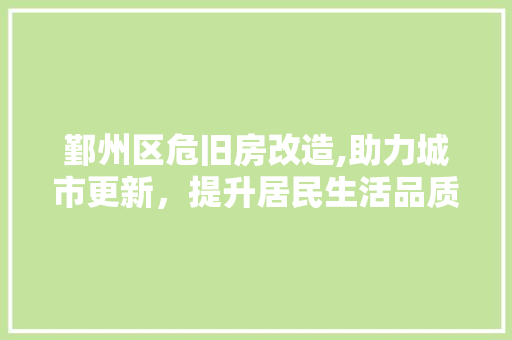 鄞州区危旧房改造,助力城市更新，提升居民生活品质