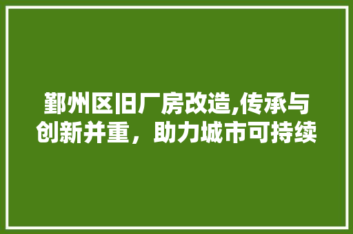 鄞州区旧厂房改造,传承与创新并重，助力城市可持续发展