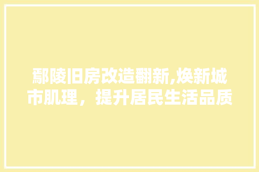 鄢陵旧房改造翻新,焕新城市肌理，提升居民生活品质