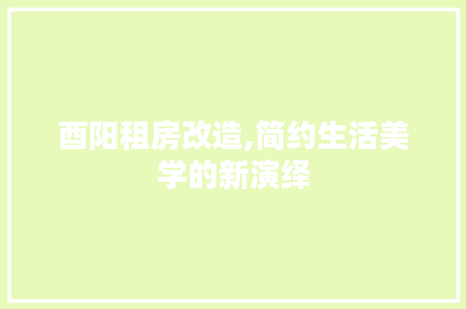 酉阳租房改造,简约生活美学的新演绎