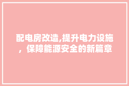 配电房改造,提升电力设施，保障能源安全的新篇章 综合便民