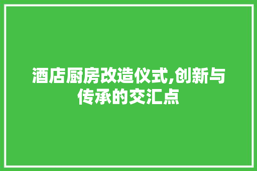 酒店厨房改造仪式,创新与传承的交汇点 家电维修
