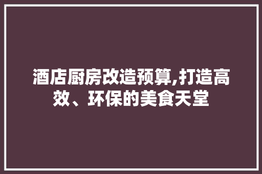 酒店厨房改造预算,打造高效、环保的美食天堂