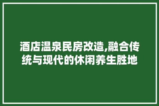 酒店温泉民房改造,融合传统与现代的休闲养生胜地 汽车维修