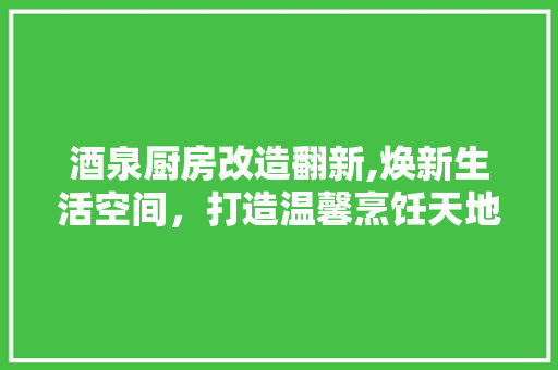 酒泉厨房改造翻新,焕新生活空间，打造温馨烹饪天地