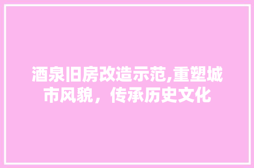 酒泉旧房改造示范,重塑城市风貌，传承历史文化 墙体维修