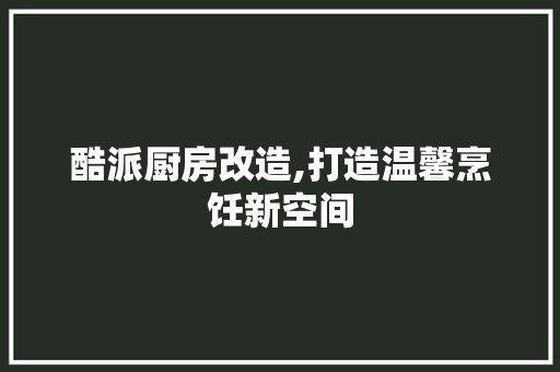 酷派厨房改造,打造温馨烹饪新空间
