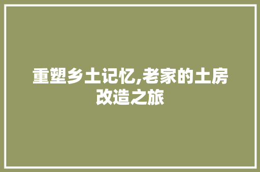 重塑乡土记忆,老家的土房改造之旅