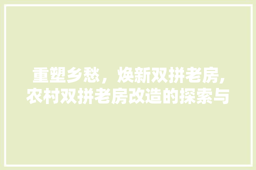 重塑乡愁，焕新双拼老房,农村双拼老房改造的探索与方法 综合便民