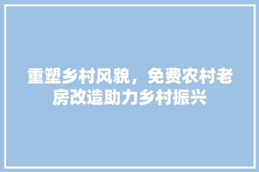 重塑乡村风貌，免费农村老房改造助力乡村振兴 汽车维修