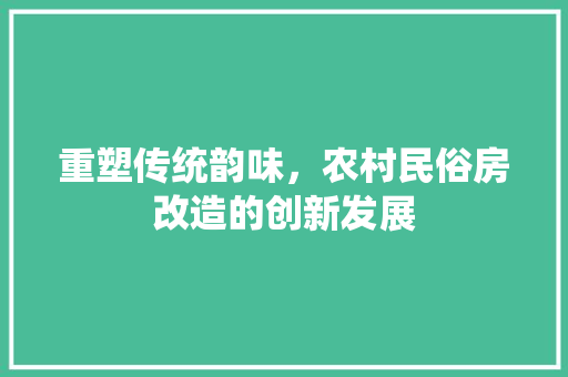 重塑传统韵味，农村民俗房改造的创新发展 家电维修