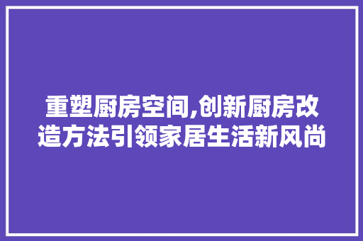 重塑厨房空间,创新厨房改造方法引领家居生活新风尚