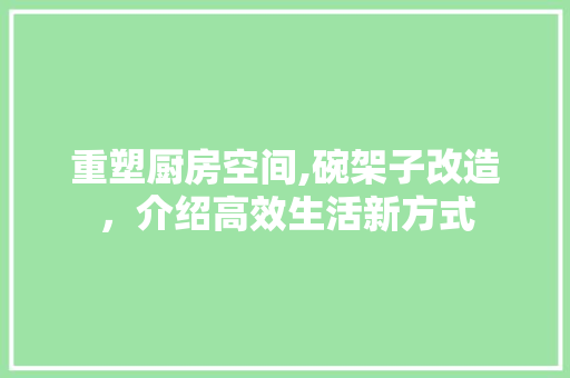 重塑厨房空间,碗架子改造，介绍高效生活新方式